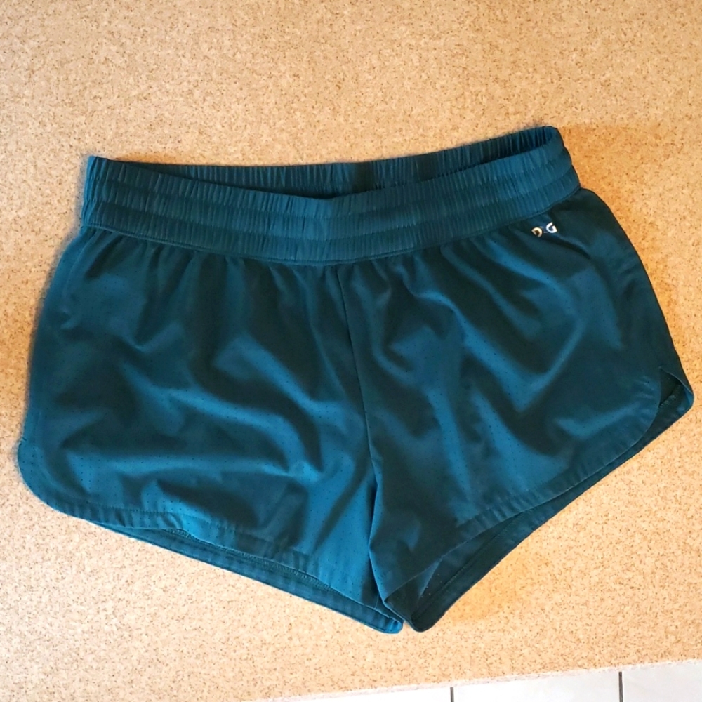 NWOT DSG Stride Lined Mesh Stride Shorts